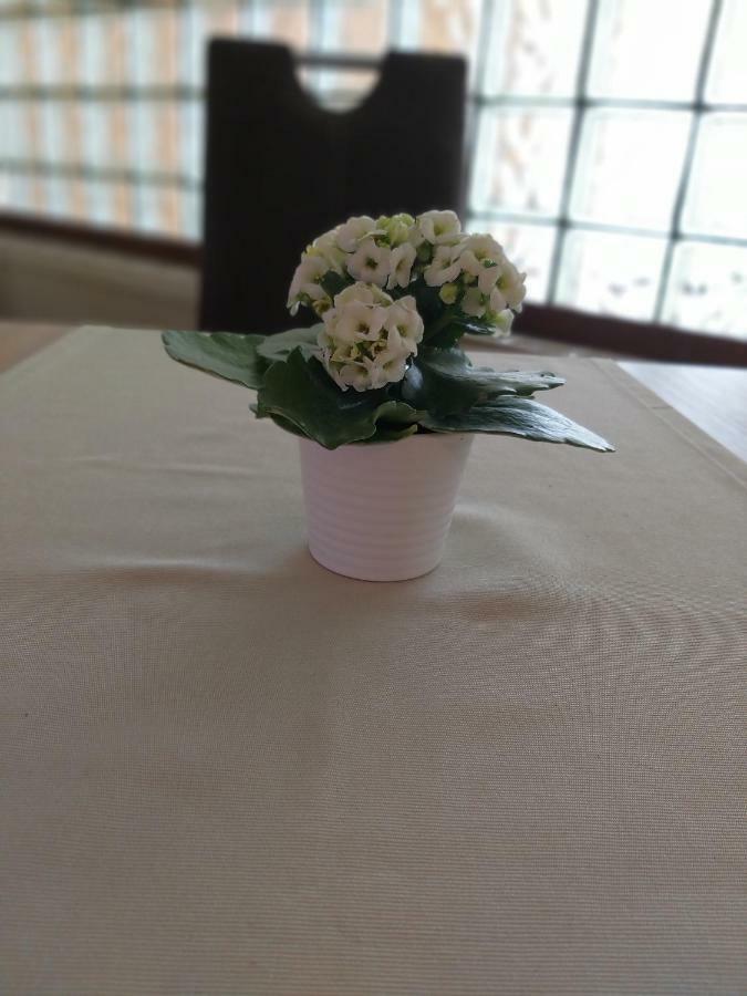 Horvath Fogado Panzio Hotel Сентендре Екстериор снимка